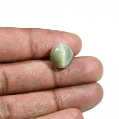 Quartz Cat's Eye (Lehsunia) Carat 8.3