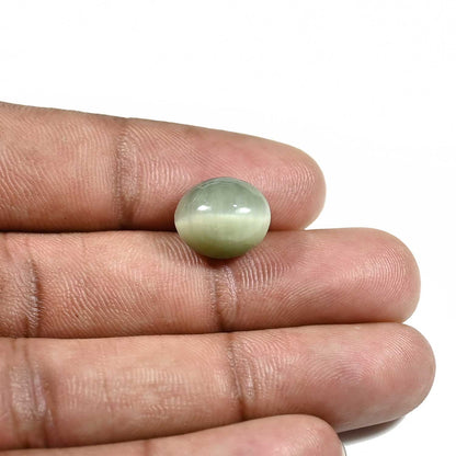 Quartz Cat's Eye (Lehsunia) Carat 7.94