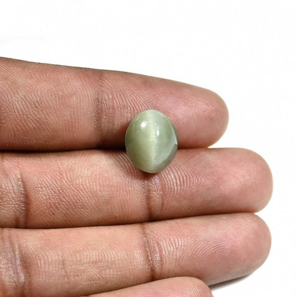 Quartz Cat's Eye (Lehsunia) Carat 7.94