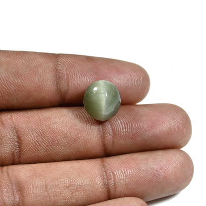 Quartz Cat's Eye (Lehsunia) Carat 7.75