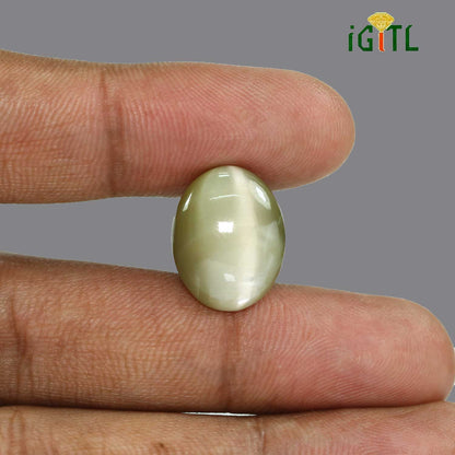 Chrysoberyl Cat`s Eye - 27.89 Carat