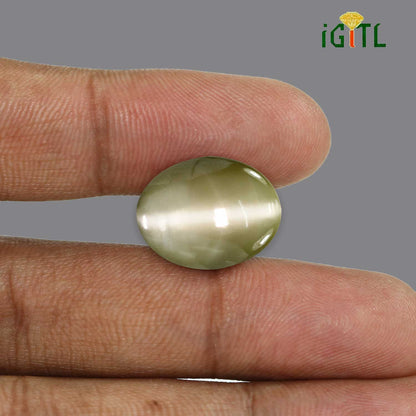 Chrysoberyl Cat`s Eye - 27.89 Carat