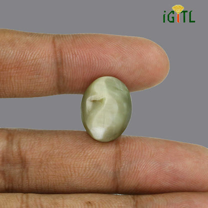 Chrysoberyl Cat`s Eye - 27.89 Carat