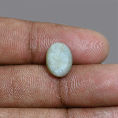 Chrysoberyl Cat`s Eye 8.19 Carat