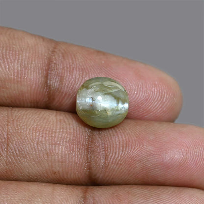 Chrysoberyl Cat`s Eye 8.68 Carat