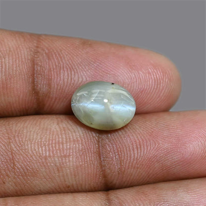 Chrysoberyl Cat`s Eye 8.31 Carat