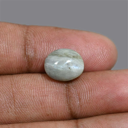 Chrysoberyl Cat`s Eye 8.78 Carat
