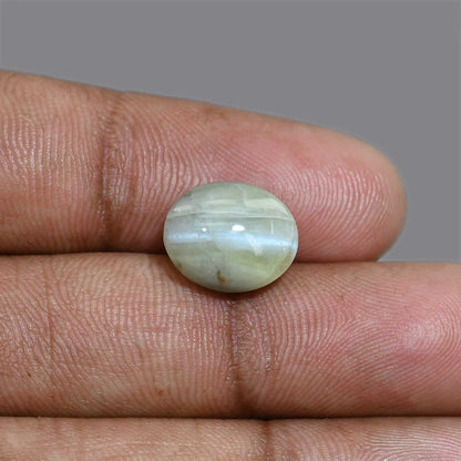 Chrysoberyl Cat`s Eye 8.72 Carat