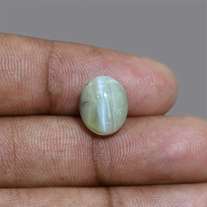 Chrysoberyl Cat`s Eye 8.72 Carat