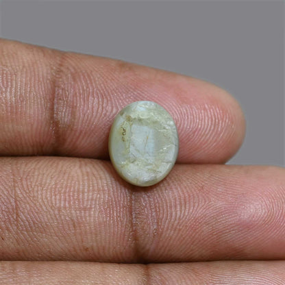 Chrysoberyl Cat`s Eye 8.72 Carat