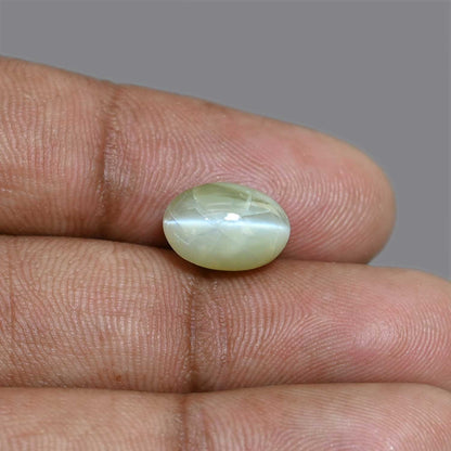 Chrysoberyl Cat`s Eye 8.43 Carat