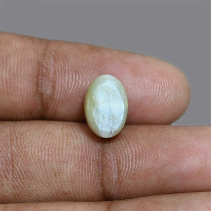 Chrysoberyl Cat`s Eye 8.43 Carat