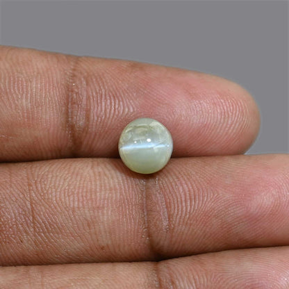 Chrysoberyl Cat`s Eye 4.9 Carat