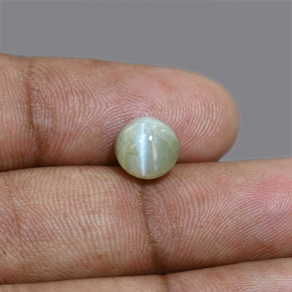 Chrysoberyl Cat`s Eye 4.9 Carat