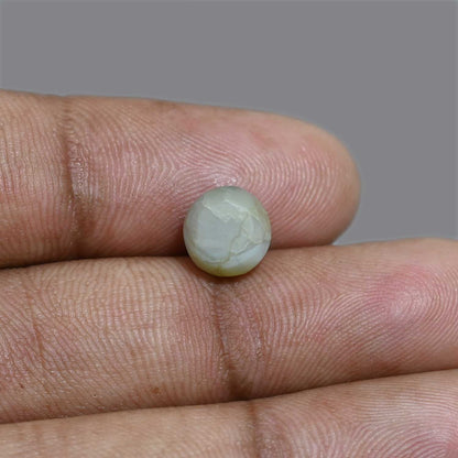 Chrysoberyl Cat`s Eye 4.9 Carat