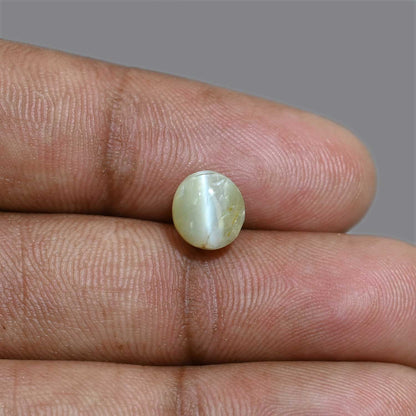 Chrysoberyl Cat`s Eye 3.92 Carat