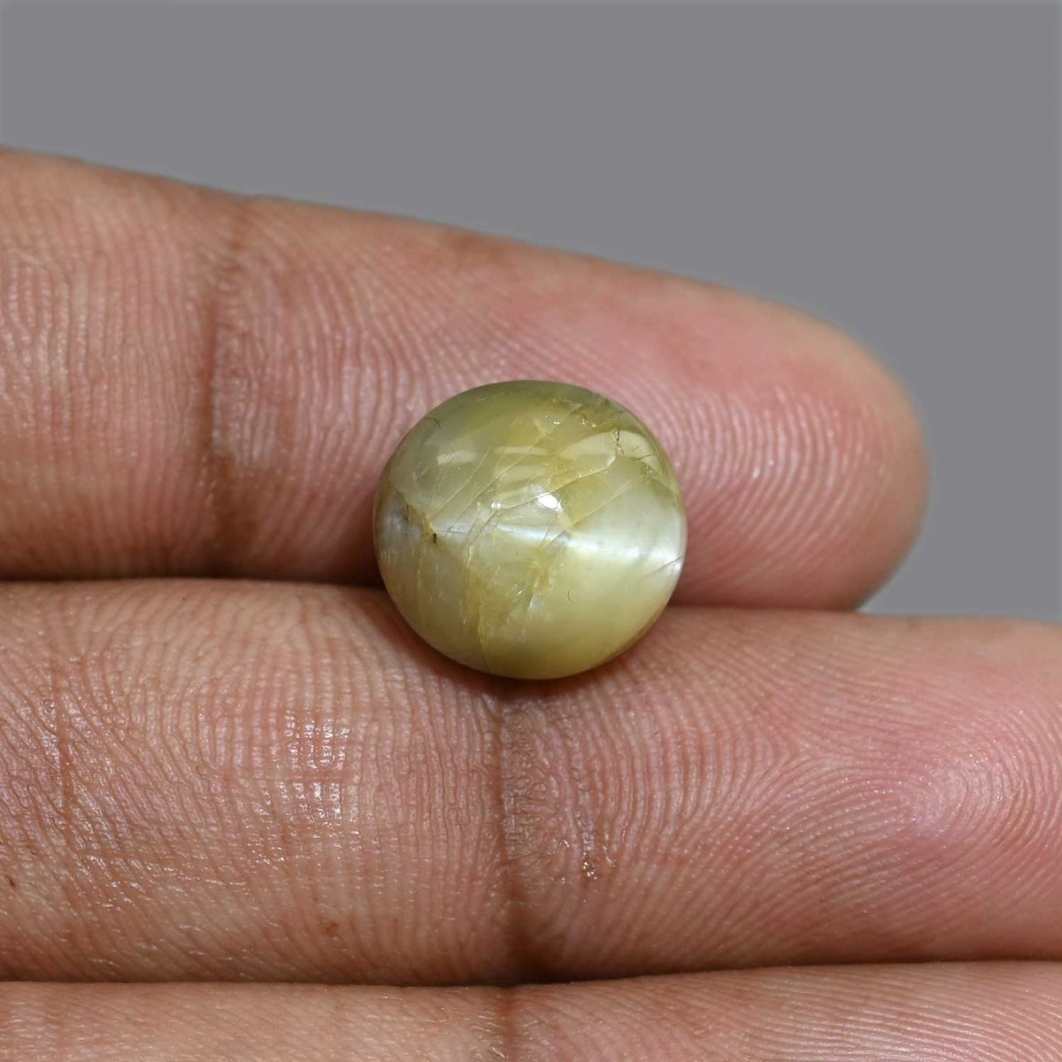 Chrysoberyl Cat`s Eye 13.46 Carat