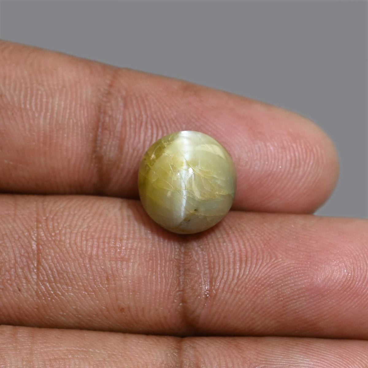 Chrysoberyl Cat`s Eye 13.46 Carat