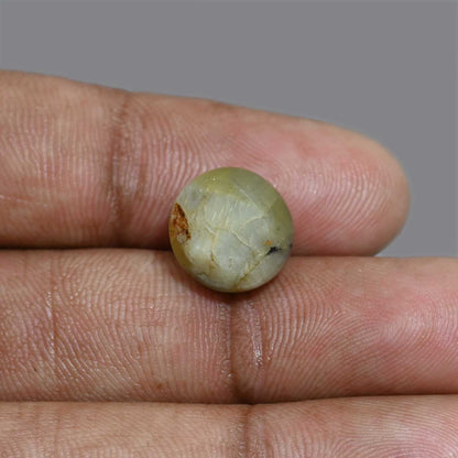 Chrysoberyl Cat`s Eye 13.46 Carat
