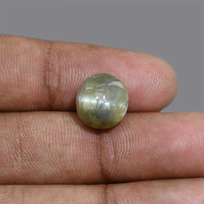 Chrysoberyl Cat`s Eye 11.44 Carat