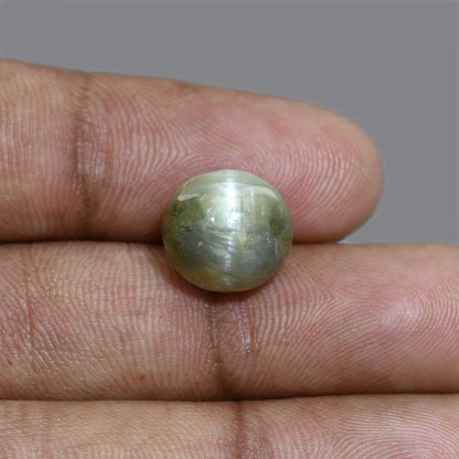 Chrysoberyl Cat`s Eye 11.44 Carat