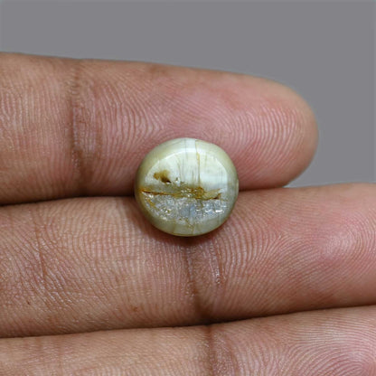 Chrysoberyl Cat`s Eye 11.44 Carat
