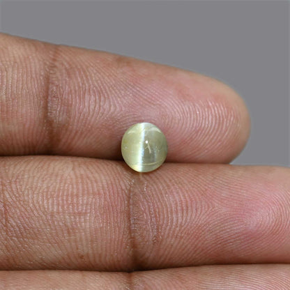 Chrysoberyl Cat`s Eye 2.57 Carat