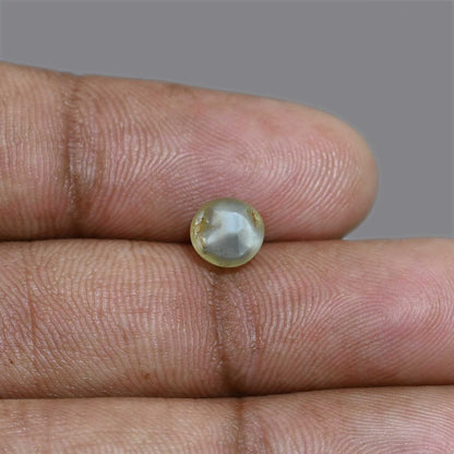 Chrysoberyl Cat`s Eye 2.57 Carat