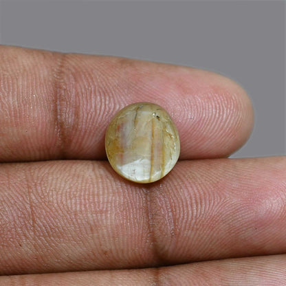 Chrysoberyl Cat`s Eye 7.92 Carat