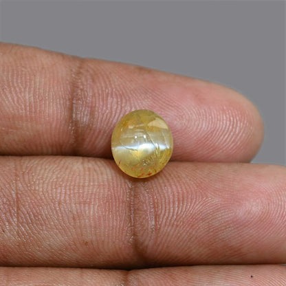 Chrysoberyl Cat`s Eye 7.14 Carat