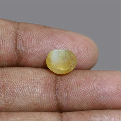 Chrysoberyl Cat`s Eye 7.14 Carat