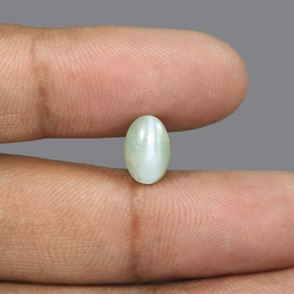 Chrysoberyl Cat`s Eye - 4.61 Carat