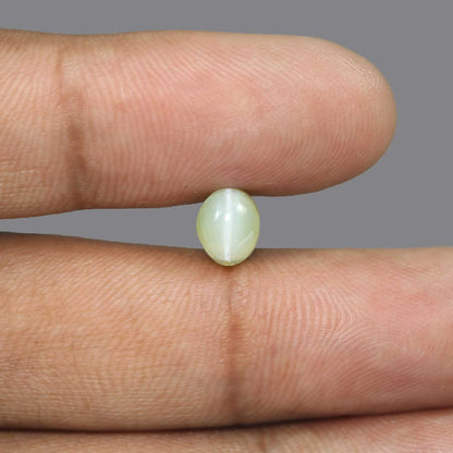 Chrysoberyl Cat`s Eye - 4.09 Carat