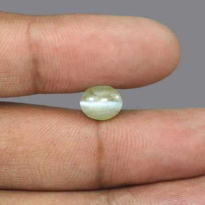 Chrysoberyl Cat`s Eye - 5.47 Carat