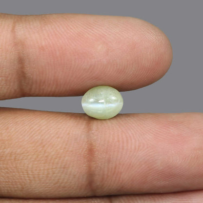 Chrysoberyl Cat`s Eye - 4.55 Carat