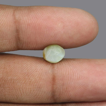 Chrysoberyl Cat`s Eye - 4.55 Carat