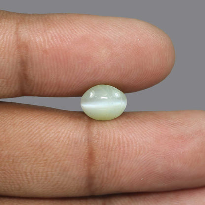 Chrysoberyl Cat`s Eye - 4.53 Carat