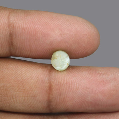 Chrysoberyl Cat`s Eye - 3.18 Carat