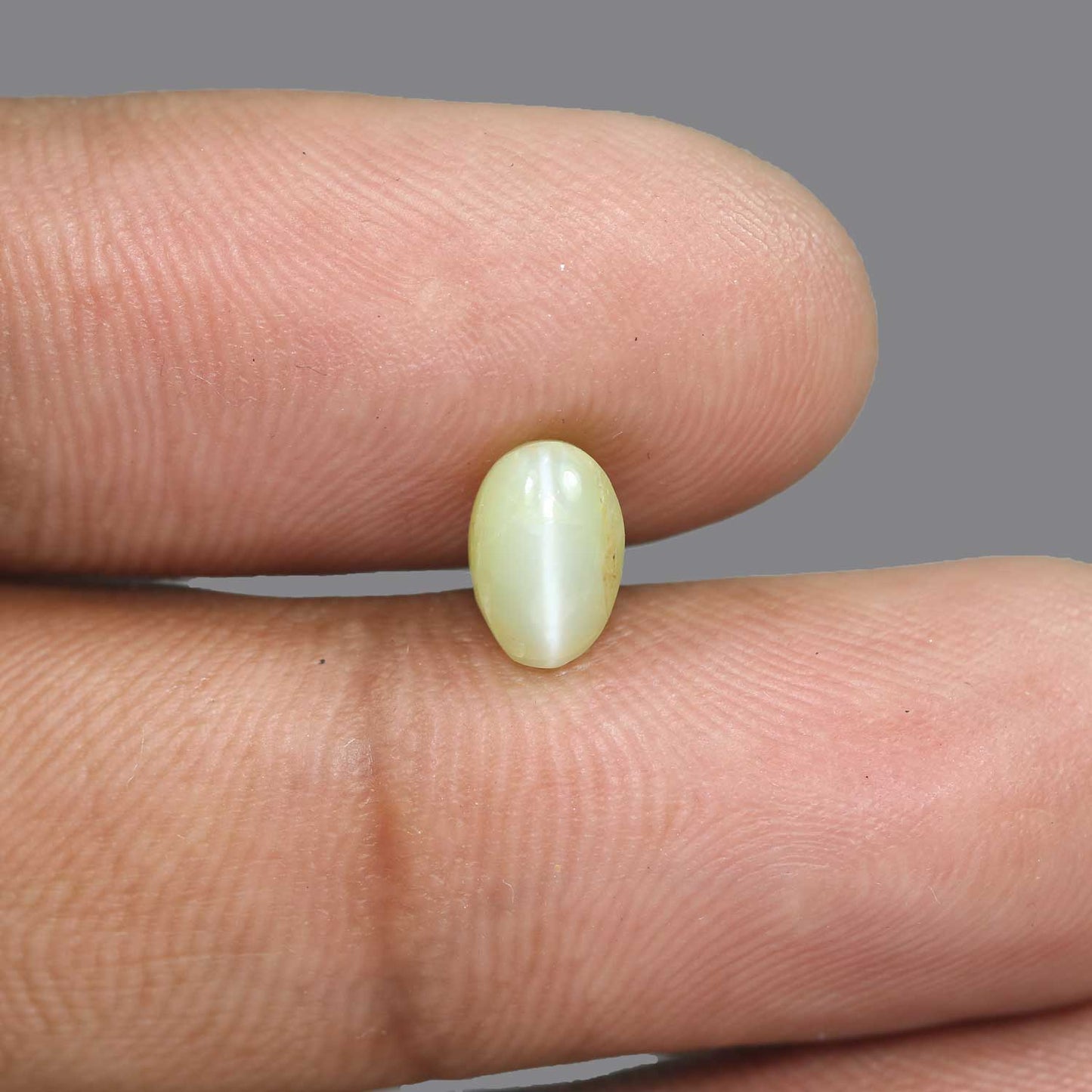 Chrysoberyl Cat`s Eye - 2.63 Carat