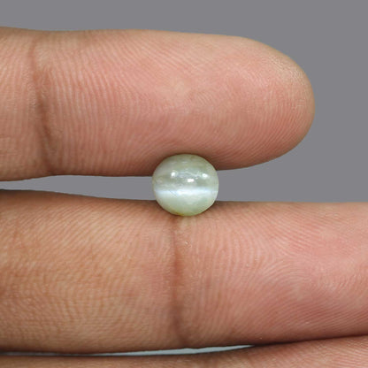 Chrysoberyl Cat`s Eye - 3.01 Carat