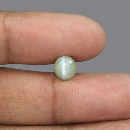 Chrysoberyl Cat`s Eye - 3.01 Carat