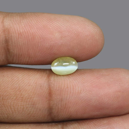 Chrysoberyl Cat`s Eye - 2.58 Carat