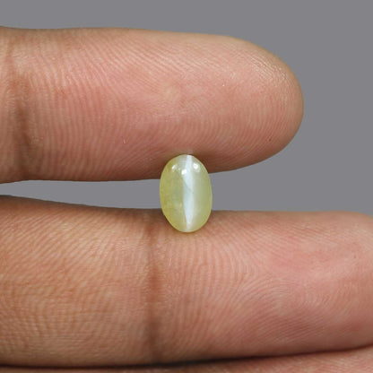 Chrysoberyl Cat`s Eye - 2.58 Carat