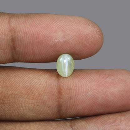 Chrysoberyl Cat`s Eye - 2.93 Carat