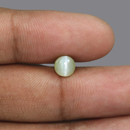 Chrysoberyl Cat`s Eye - 3.08 Carat