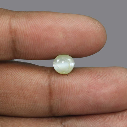 Chrysoberyl Cat`s Eye - 3.71 Carat