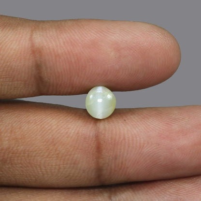 Chrysoberyl Cat`s Eye - 3.71 Carat