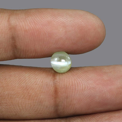 Chrysoberyl Cat`s Eye - 3.67 Carat