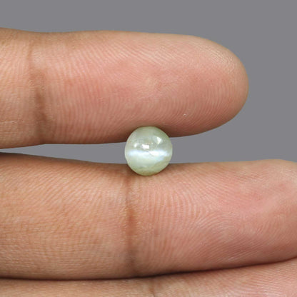 Chrysoberyl Cat`s Eye - 3.37 Carat