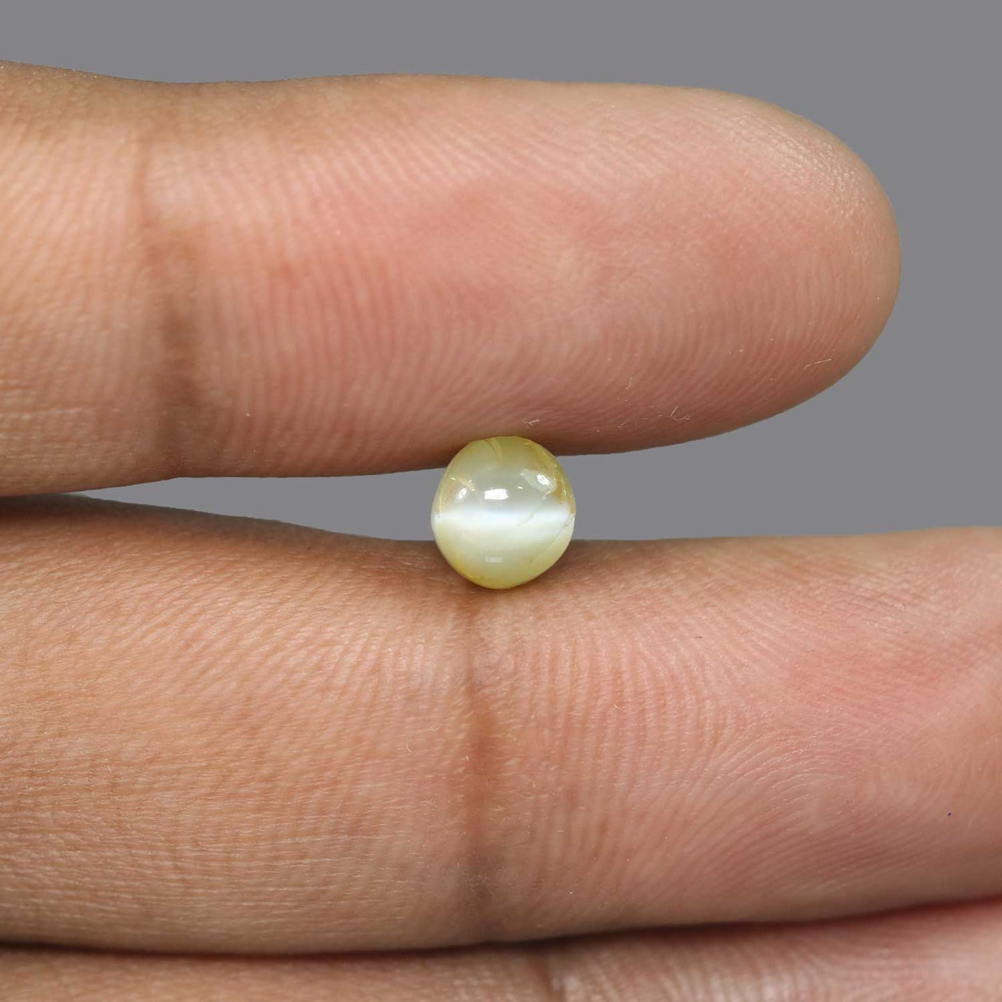 Chrysoberyl Cat`s Eye - 2.61 Carat
